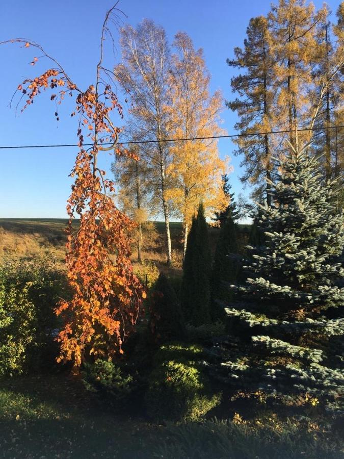Penzion Kunvald Končiny Exterior foto